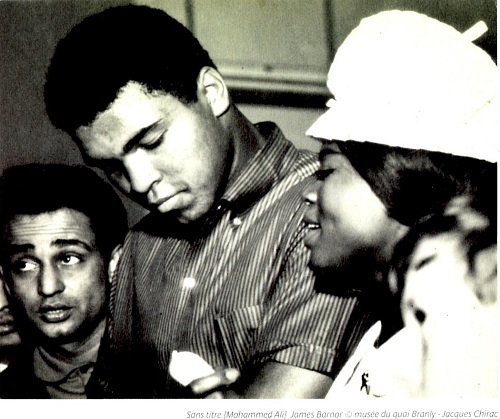 13 collections photographiques