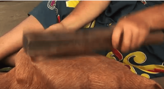 3 tapa battage de l'écorce