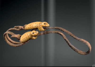 7 Meyer Alaska phoques