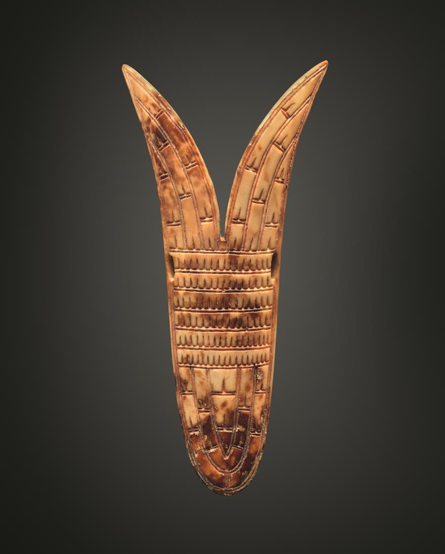 8 Meyer Alaska janv 2018