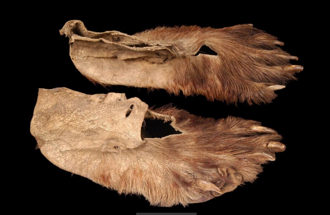 chaussures Am du N Paz Nunez1 71.1934.33.13.1-2-1