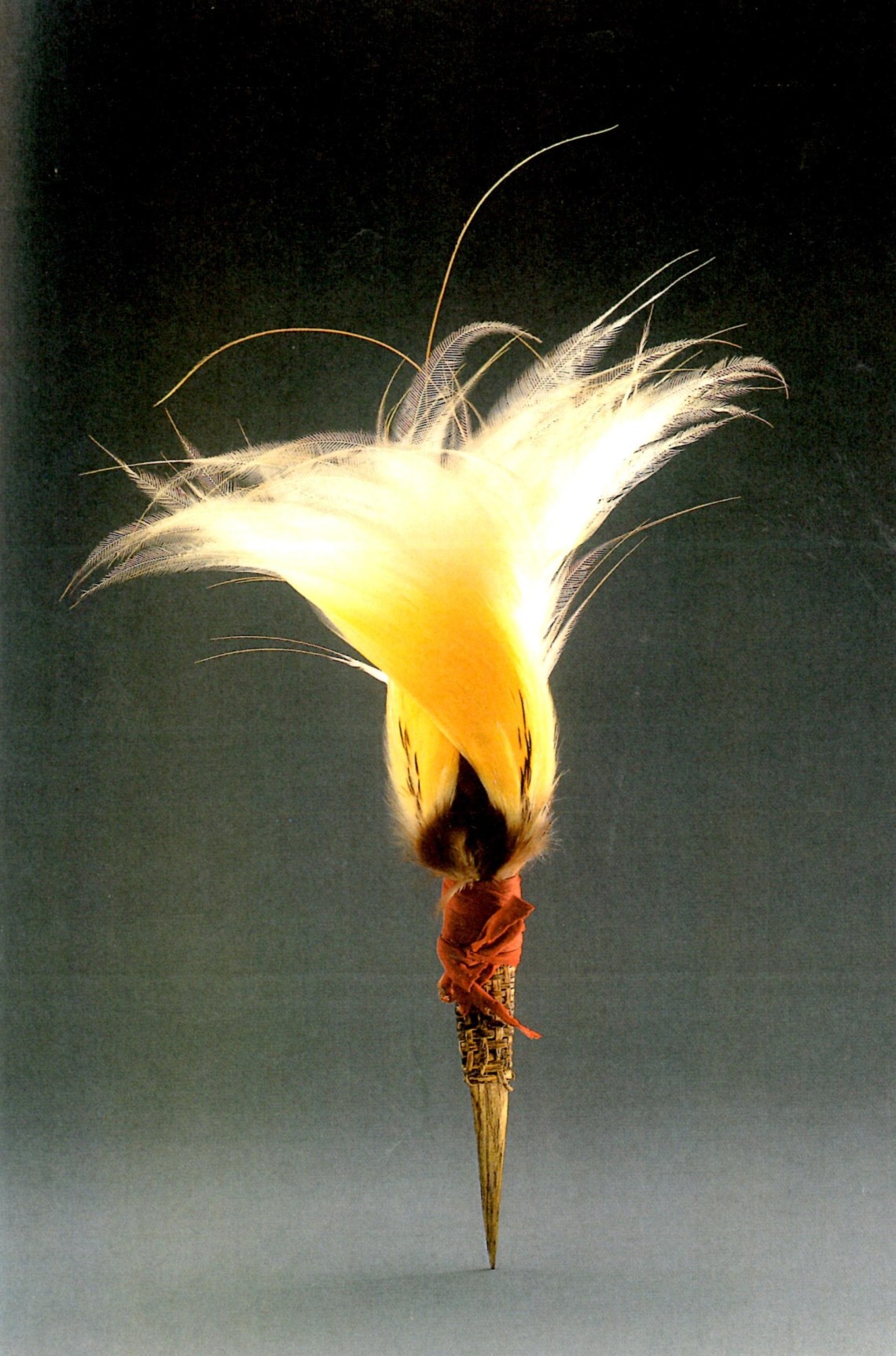 Pétrequin 1 Papouasie-Nelle Guinée occid parure