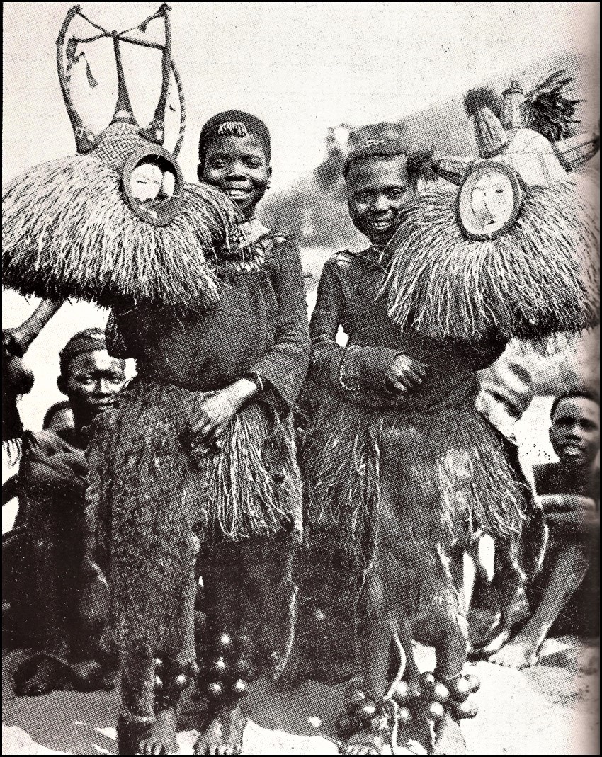 12 Yaka Archives D. Delbard, n° 2059