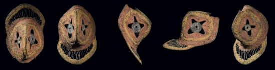 photo 9 Abelam Binche