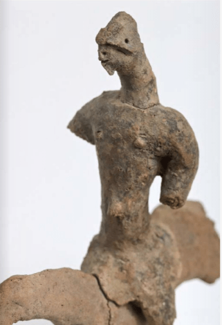 TAS juin 2020 N.Rolland