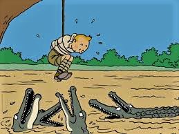 tintin au congo 2 (2)